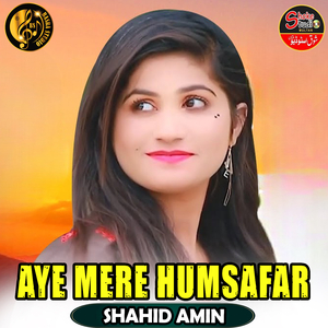 Aye Mere Humsafar (1)