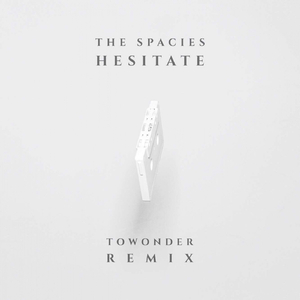 Hesitate (ToWonder Remix)