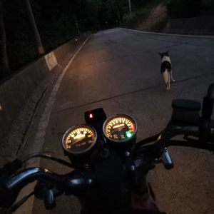 钢铁丛林（prod by ANGER田宇昂）