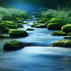 the Autumn Wind Whispers