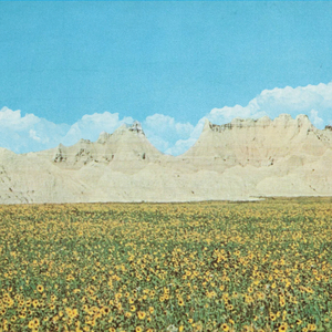 It's a Long Way from Home