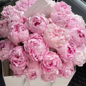 追逐青春梦想.wav