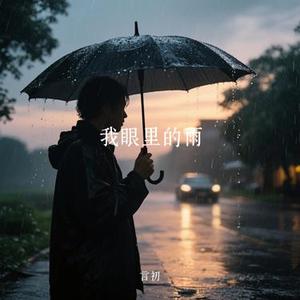 我眼里的雨 (Cover 李林夕)