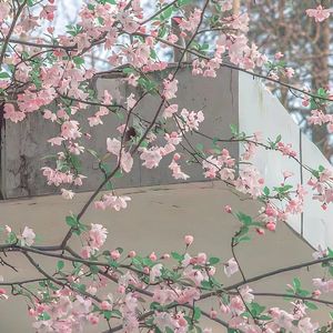 我只能离开（说唱版）