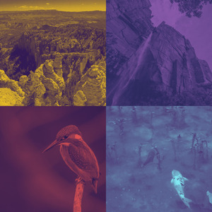 抚慰的准备工作回忆