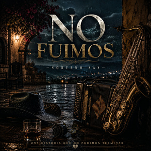 No fuimos