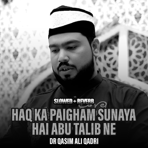 Haq Ka Paigham Sunaya Hai Abu Talib Ne Lofi Version
