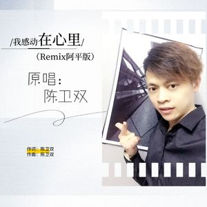 我感动在心里（Remix阿平版）