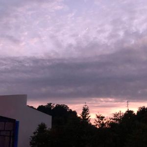 唯一（Cover告五人）