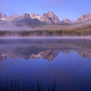 害怕你不能够一直陪伴我