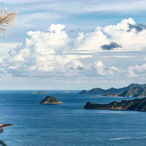 许你自由 愿你无忧