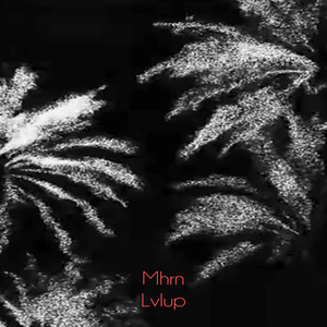 lvlup