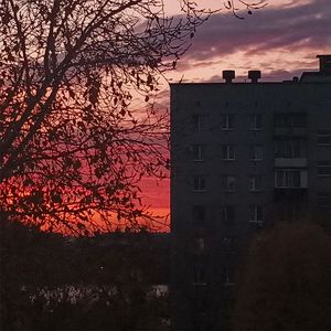 тысяча окон
