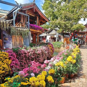 安河桥间奏(钢琴版)