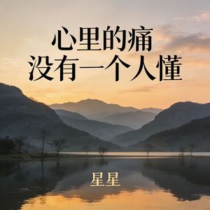 心里的痛没有一个人懂
