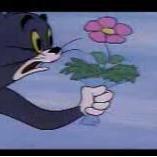 褪色（prod.by Cario）