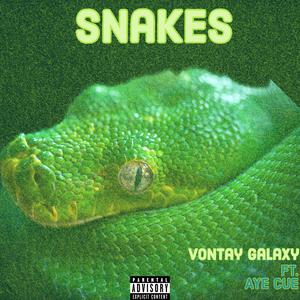 Snakes (feat. Aye Cue)