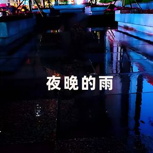 夜晚的雨