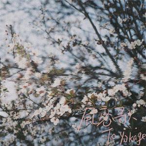 风恋歌（翻自 恋恋故人难）