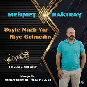 söyle nazı yar niye gelmedin
