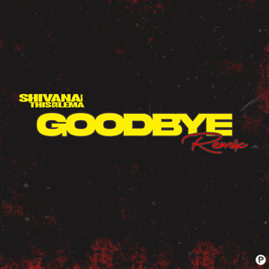 Goodbye (Julien Fade Remix)