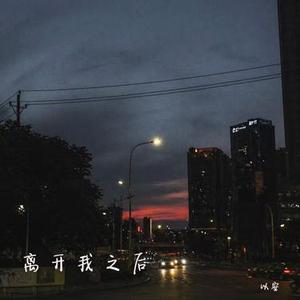 离开我之后