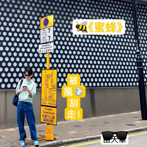 蜜蜂太阳的后裔版