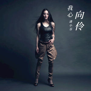 感情的碎片能否拾起