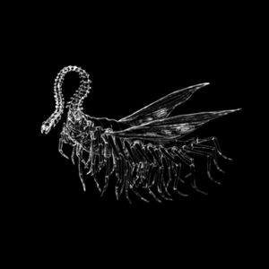 Astrology - Spade’ s Theme