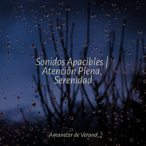 Mareas Místicas del Verano