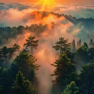 niebla