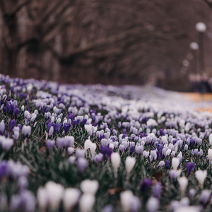 world is spinning rich boy