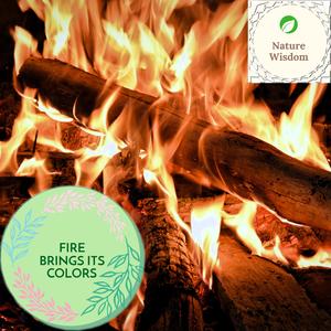 Wondferful Country Morning