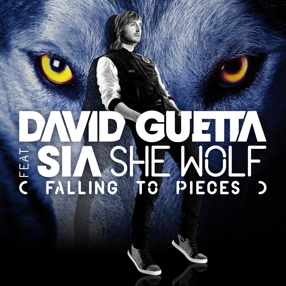 she wolf (falling to pieces) (sandro silva remix) - remix