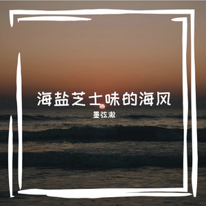 海盐芝士味的海风