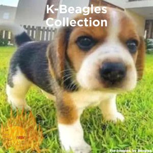 Como matar a tu bou.