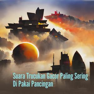 Suara Trucukan Gacor Paling Sering Di Pakai Pancingan