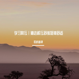 学习解压舒适轻音乐