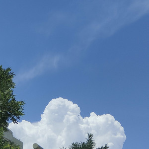 他（Prod EVOMUSIC）