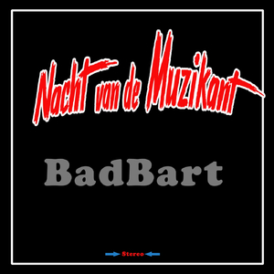 Nacht Van De Muzikant