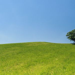 舒缓琴音与白噪引领的入眠之境