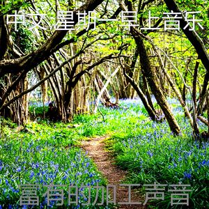 微妙的办公室心情