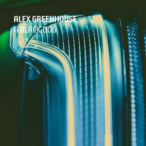 A Black Dog (Original Mix)