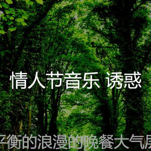 精彩浪漫的晚餐环境