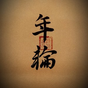 年轮(竹笛) cover张碧晨