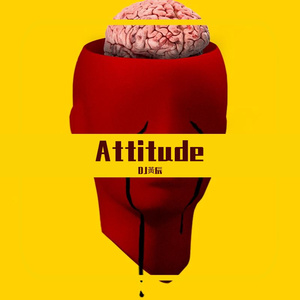 Attitude