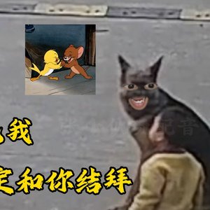 龍猛寺寬度-武家坡之有难同当（时光静好 remix）