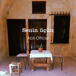 Senin üçün