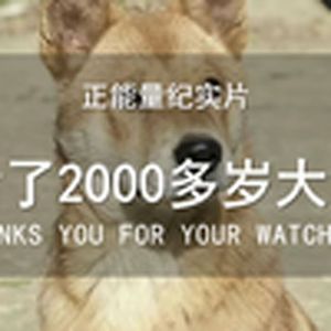 大型纪录片《活了2000多岁的大黄》