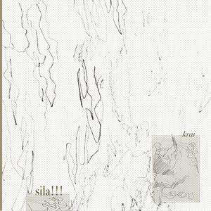 sila!!! (feat. pirko)